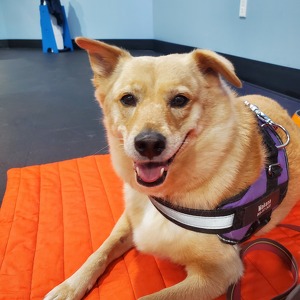 Fundraising Page: Melissa Manandic